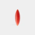Coral Japón Cabujón Marquise
